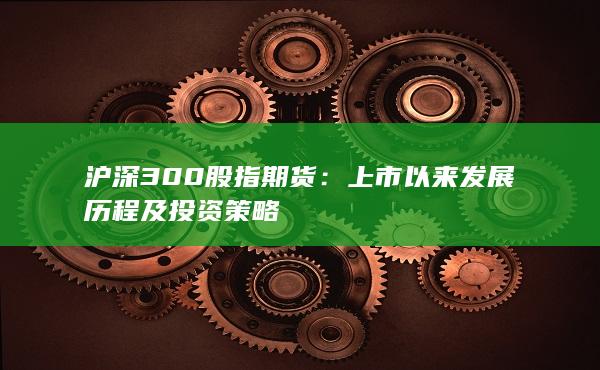 上市以來發(fā)展歷程及投資策略